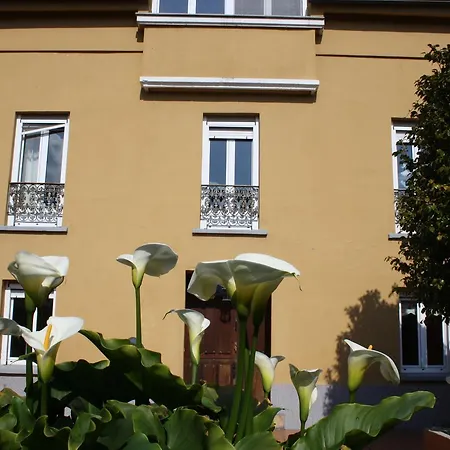 Appartement Casa Samuel *