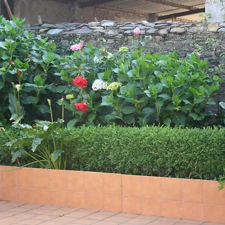 Appartement Casa Samuel *