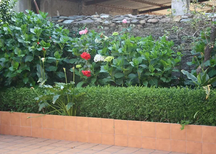 Appartement Casa Samuel *